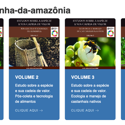 Castanha-da-Amazônia: estudos sobre a espécie e sua cadeia de valor (Embrapa, 2023)